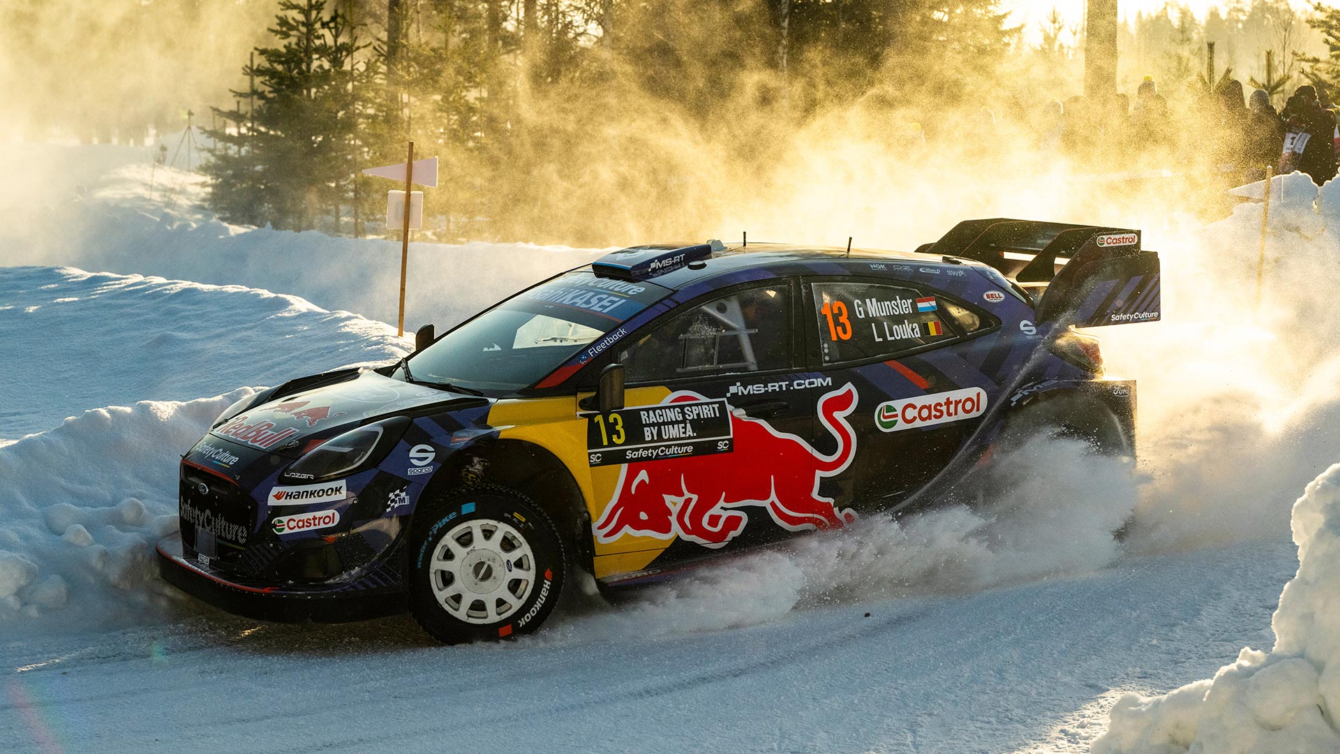 Red Bull Rally